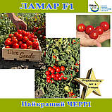 Томат червоний "Черрі" Ламар F1, 1000 насінин, ТМ Libra Seeds, фото 3