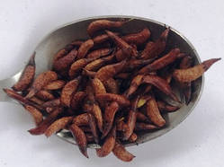 Аморфа. Ціна за порцію як на фото.