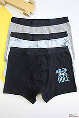 ОПТОМ Трусики боксери 2 шт. "Monster Trucks" для хлопчика 11-12 років (11-12 років) Katamino 8680652812927