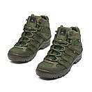 Тактичні Черевики Демісезонні PAV 507 Хакі, фото 2