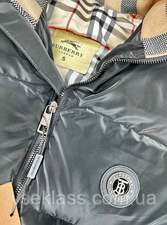 Burberry premium on sale