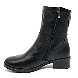 Сапожки середньої висоти чорні жіночі із замком шкіряні на вовні Вілюс 3121 розмір 37, фото 2