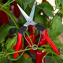 Секатор FELCO 322 для збору плодів - Фелко 322, фото 3