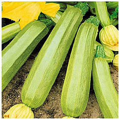 Кабачок Кавілі F1 поштучно Nunhems 1 шт