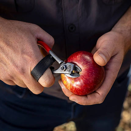 Секатор FELCO 330 для збору фруктів, Швейцарія, фото 4