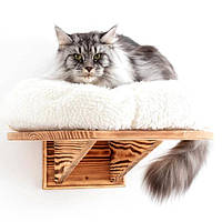 Лежаки для кішок