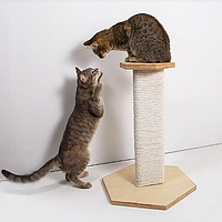 Кігтеточки