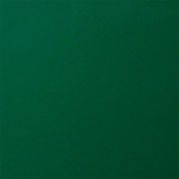 Автоэмаль в аэрозоле NewTon 400мл 394 темно-зеленая - фото 2 - id-p444935589