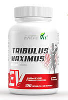 Для тестостерону EnergiVit Tribulus Maximus 90% 120 капсул