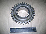 Шестірня зниж. ред. МТЗ (Z=20, Z = 30, без шлу. всередині) (Белорусь), фото 2