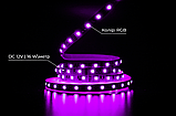 Світлодіодна LED стрічка PROLUM™ 12V; 5050\60; IP20; Series "PRO", RGB, фото 4