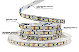 Світлодіодна LED стрічка PROLUM™ 12V; IP20; Series "SG" High Lumen, Нейтральний-Білий (3800-4300K), фото 3