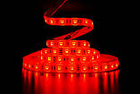 Світлодіодна LED стрічка PROLUM™ 12V; 5050\60; IP65; Series "SG", RGB, фото 5