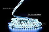 Світлодіодна LED стрічка PROLUM™ 12V; 2835\120; IP65; Series "SG", Холодний-білий (9000-10000К), фото 4