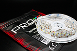 Світлодіодна LED стрічка PROLUM™ 12V; 2835\120; IP65; Series "SG", Холодний-білий (9000-10000К), фото 6
