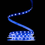 Світлодіодна LED стрічка PROLUM 24V; IP20; 5050\60; Series "SG", RGB, фото 2