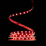 Світлодіодна LED стрічка PROLUM 24V; IP20; 5050\60; Series "SG", RGB, фото 3