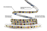 Світлодіодна LED стрічка PROLUM™ 5 ММ 12V; 2835\120; IP20; Series "SG", Холодний-білий (9000-10000К), фото 4