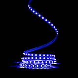 Світлодіодна LED стрічка PROLUM™ 12V; IP20; 3535\96; S-TYPE; Series "S", RGB, фото 3