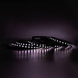 Готовий набір стрічки PROLUM™ 24V; 5x13;Чорний; 5M; RGB FULL COLOR, PRO, фото 7