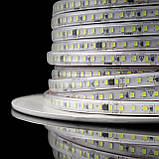 Світлодіодна LED стрічка PROLUM™ 220V; 2835\120; IP67; 8 ММ; Series "S", Білий (5500-6000К), фото 10