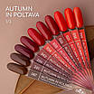 Гель-лак Nice for you Autumn in Poltava Premium №087 Каштановий 8.5 г, фото 3