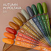 Гель-лак Nice for you Autumn in Poltava Premium №087 Каштановий 8.5 г, фото 4