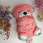 Дихаюча видра дитяча музична іграшка для сну в коробці 30 см різних кольорів із функцією дихання, фото 2