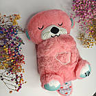 Дихаюча видра дитяча музична іграшка для сну в коробці 30 см різних кольорів із функцією дихання, фото 9