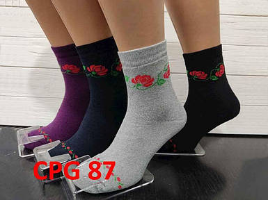 Шкарпетки жіночі (12 пар/уп) махра асорті CРG-87 р.36-40 ТМ Золотой клевер FG