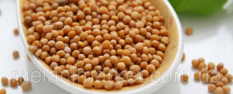 Гірчиця жовта, насіння