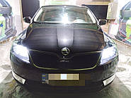 Зимняя решетка (верхняя) Глянцевая для Skoda Rapid 2012-2019 гг