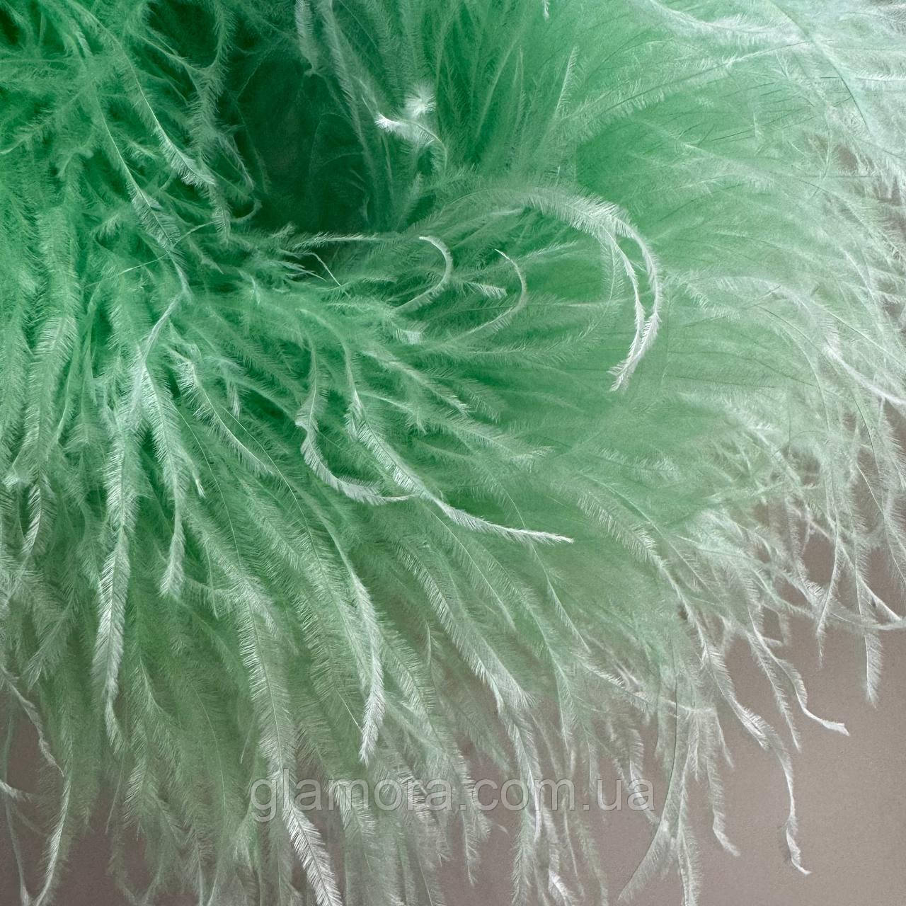 Страусове боа De'Lux TM "Glamora", шестишарове, колір Spearmint, 1 м