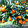 Кумкват Оніка (Kumquat Onika) 40-45 см. Кімнатний, фото 2