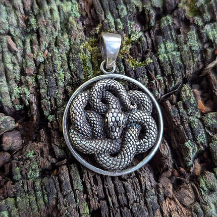 Змія, Змій, кулон, підвіс, амулет, талісман, фото 1