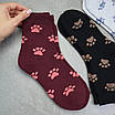 Шкарпетки махрові 6 пар «Лапки» жіночі зимові розмір 36-40 арт. 123.6, фото 2