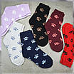 Шкарпетки махрові 6 пар «Лапки» жіночі зимові розмір 36-40 арт. 123.6, фото 4
