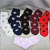 Шкарпетки махрові 6 пар «Лапки» жіночі зимові розмір 36-40 арт. 123.6, фото 6