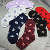 Шкарпетки махрові 6 пар «Лапки» жіночі зимові розмір 36-40 арт. 123.6, фото 7