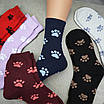 Шкарпетки махрові 6 пар «Лапки» жіночі зимові розмір 36-40 арт. 123.6, фото 9