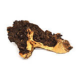 Коряга мопані Hobby Mopani M 25-35см (40692), фото 2