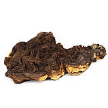 Коряга мопані Hobby Mopani M 25-35см (40692), фото 5