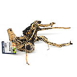 Коряга натуральна Hobby Fingerwood Shadow S 20-30см (40488), фото 3