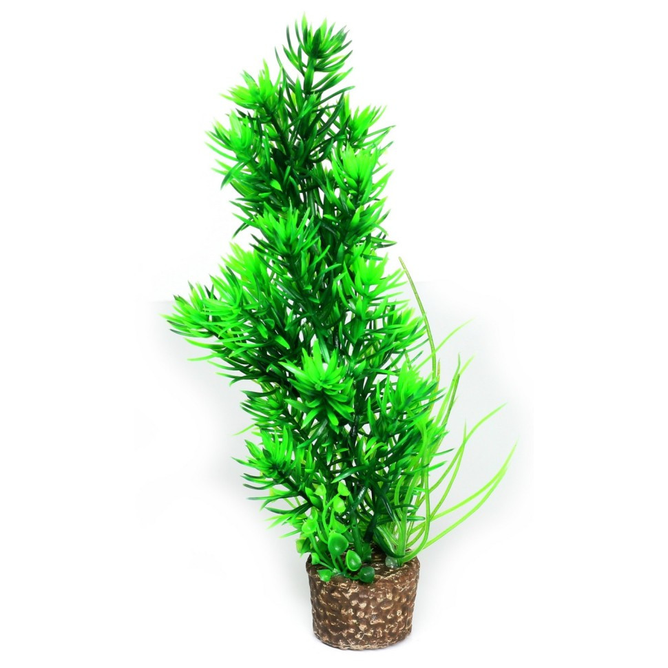 Штучна рослина Hobby Flora Stone 5 25см (51534)