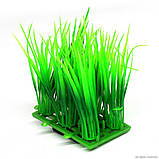Штучна рослина Hobby Plant Pad 3 7x4,5x8см (51553), фото 5