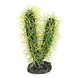 Штучна рослина кактус Hobby Kaktus Simpson 9x6x16см (37004), фото 2
