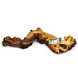 Коряга мопані Hobby Mopani L 35-50см (40693), фото 2