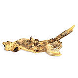 Коряга мопані Hobby Mopani L 35-50см (40693), фото 6