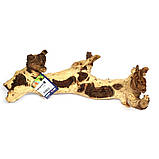 Коряга мопані Hobby Mopani L 35-50см (40693), фото 9