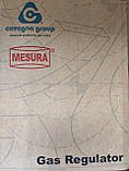 Регулятор тиску газу MESURA S7-10 (аналог РДГС-10, Pietro Fiorentini ) Італія, фото 10
